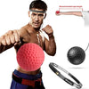 PELOTA DE BOXEO+ENVIO GRATIS